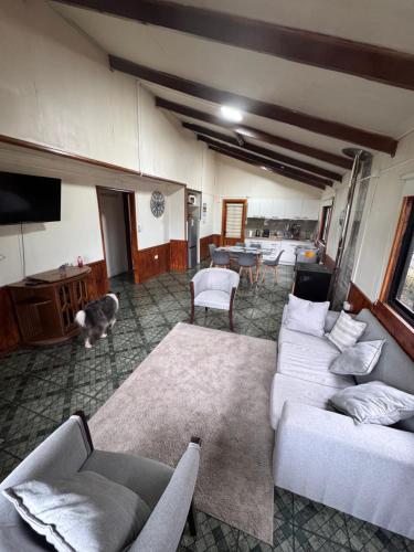 Casa Maya Modern central and pet friendly in 富塔萊烏富