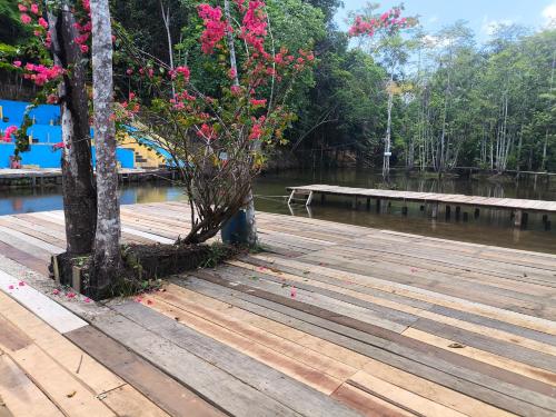 Pousada Ecológica Vale dos Peixes (Pousada Ecologica Vale dos Peixes) in Açailândia