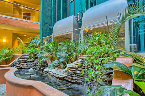 Caribe Resort - image 3