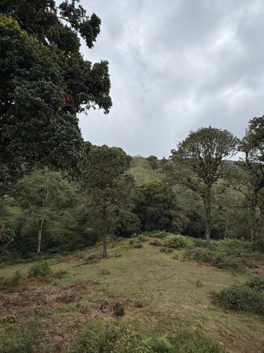 Cumbre Serena by Montea in El Jardín