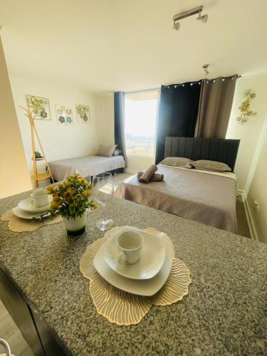 10 Apartamento en Santiago