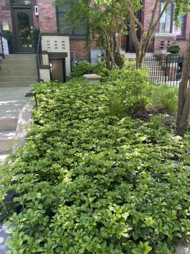 Charming 2BD in Hip Neighborhood - 3 Blks to Metro - image 33