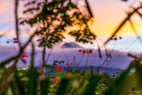 La Fortuna Lodge by Treebu Hotels