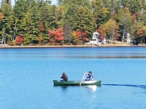 Wilson Lake Inn - image 35