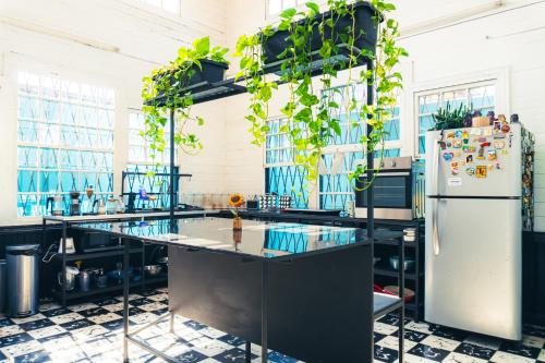 Cocina, The Nomad Hostel - SJO Airport 5 min - Private, WiFi & Premium Coffee in Alajuela