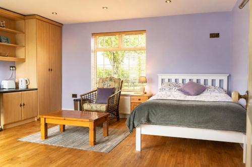 Private Room near Rock of Cashel and Workspace in Cashel