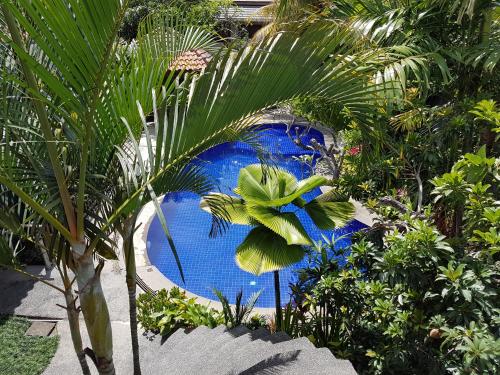 Jos & Hanny Homestay, Batu (foto 10)