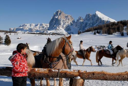 8632879 Dolomites Living Hotel Tirler