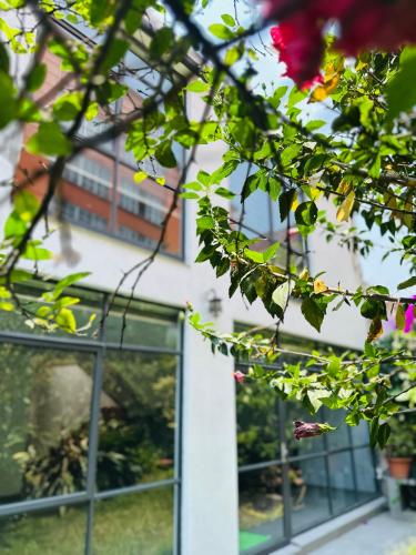 World Cup Ready, Casa moderna y espaciosa en CDMX - Benito Juárez