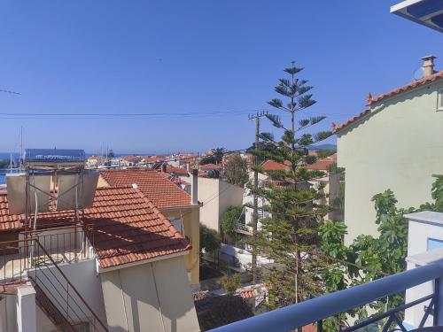 Zorbas Hotel 5