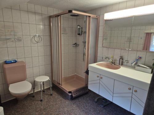 Vannas istaba, Nenis Hüsli (Nenis Husli) in Rüti (Glarus)