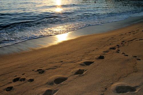 Lacona Mare - image 6