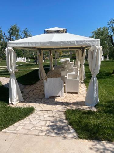 Tenuta Verdolivo 5
