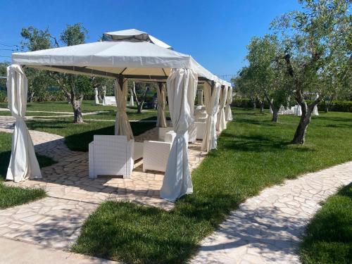 Tenuta Verdolivo 2