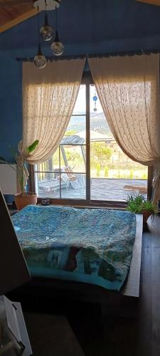 . mor salkım bahçe