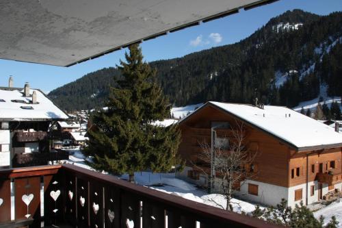 Pre Vert 44, Morgins (fotografie 4)
