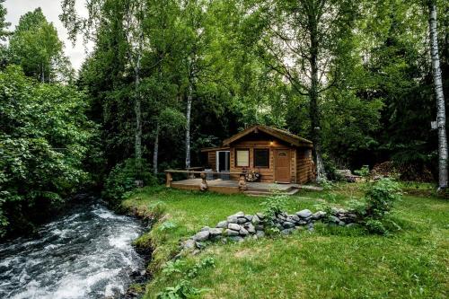 Secluded Creekside Cabin with Eagle Views Near Bear Creek Pond in Hope, Alaska – khách sạn tại Bird Creek