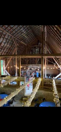 A-Frame Serenity: Tiny Cabin with Panoramic Scenery in Michigan's Tranquil Setting in Boyne Falls (Michigan)