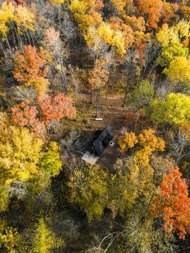 A-Frame Paradise: Retreat with Exclusive Steam Sauna in Mission Township in Breezy Point (MN)