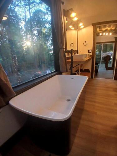 Tranquil Creekside Container with Private Waterfall Near Renaissance Festival | Magnolia, Texas in Magnolia (TX)
