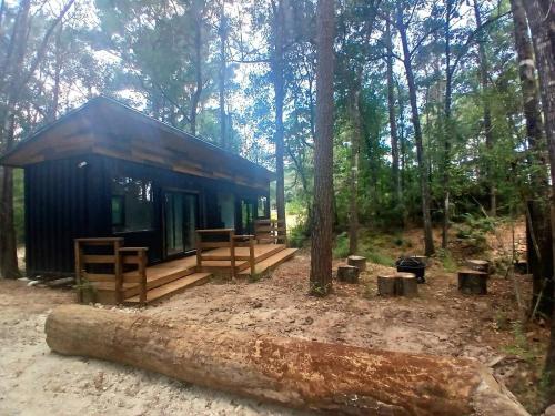 Secluded Container with BBQ for a Waterfront Retreat, Perfect for Fishing and Roasting S'Mores in Gr in Magnolia (TX)