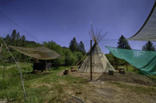Incredible Secluded Tipi Nestled Amidst Trees and Fire Pit Provided in Garden Valley, Idaho in Crouch