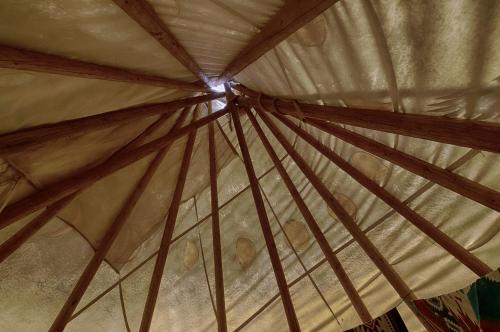 Incredible Secluded Tipi Nestled Amidst Trees and Fire Pit Provided in Garden Valley, Idaho in Crouch