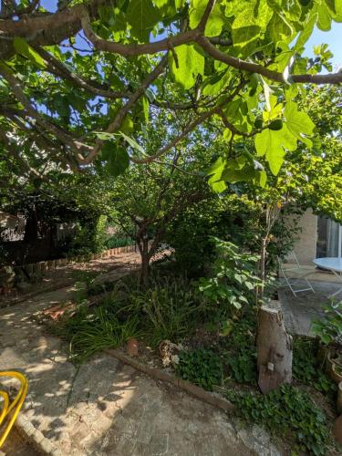 Villa paisible à Gémenos (Villa paisible a Gemenos) in Gemenos