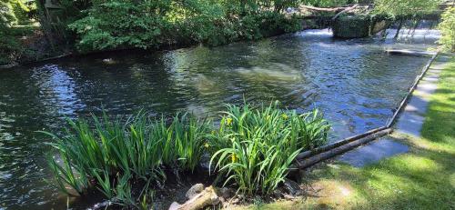 Au bord de l eau in Ormoy