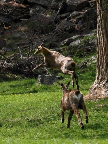 Appartamentinid - image 3