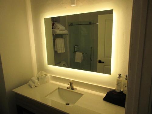 Holiday Inn Express Hotel & Suites Houston-Downtown Convention Center an IHG Hotel - image 24