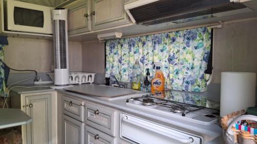 Caravan Rustic Sunflower