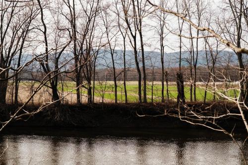 New Paltz Way Hotel - image 6