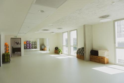 Fitness center, Sangha Toulouse in Casselardit