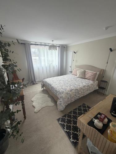 Imaginarium rooms - Barnetby