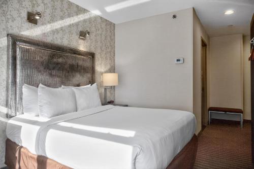 Comfort Inn Midtown West - image 31
