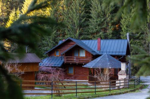 Pohled zvenku, Alpine Chalet - Ski & Lake Belis in Belis