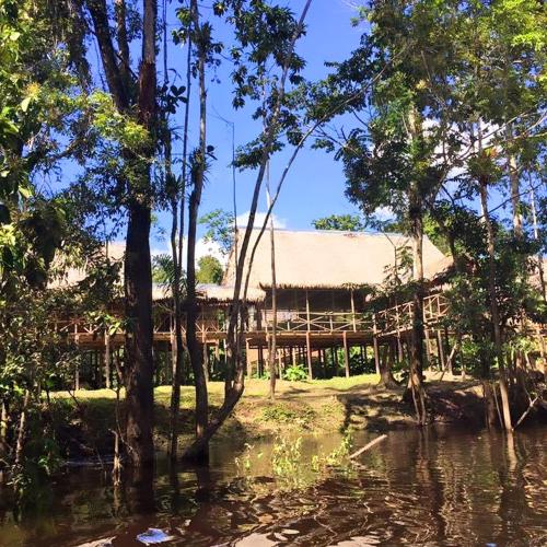酒店周边, Iquitos View Lodge Expeditions in 印地安那
