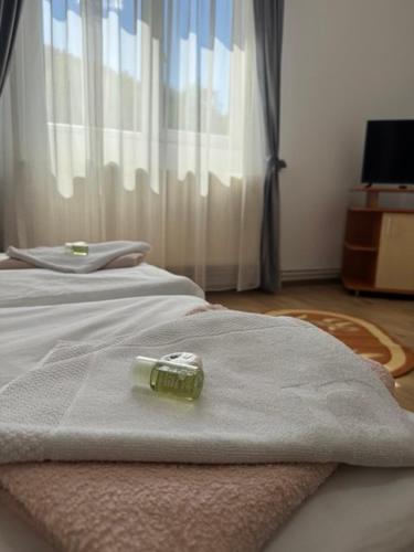 . Motel Vatra Bunătăților