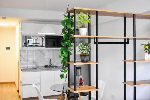 Bnb Loft II - Relaz Natural