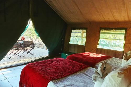 Zuri Camp - Tent Kiama in Tsumeb