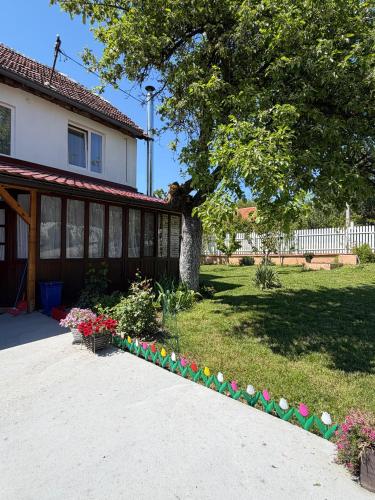 Viesnīcas āriene, Green Village Life in Aleksinac