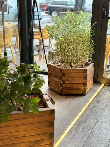 Les Palmiers – Frejus, ID
