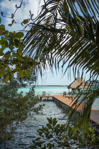 Tregua Bacalar in Bacalar