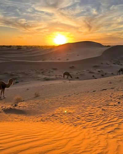 . Sahara wild camping