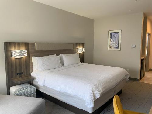 Holiday Inn Express & Suites San Antonio SE by AT&T Center an IHG Hotel - image 31