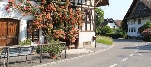 Skats, Gemütliche und ruhige Wohnung (Gemutliche und ruhige Wohnung) in Rifferswil