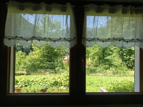 Vacanze e relax nel verde in Valstrona