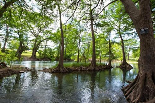 River Relaxation WW A302 in New Braunfels, USA