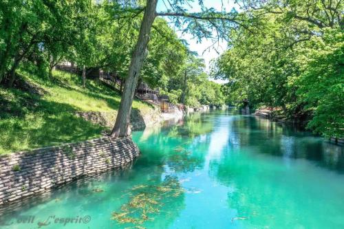 The Iron Cactus Condo on the Comal CW C102 in New Braunfels, USA